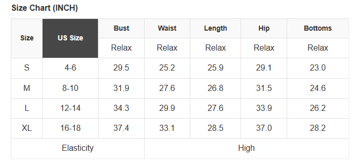 Americana Mesh Long Sleeve Bodysuit